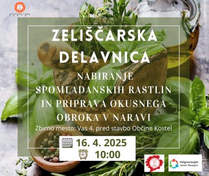 Zeliščarska delavnica Nabiranje spomladanskih rastlin in priprava okusnega obroka v naravi